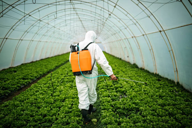 Best Insect Control  in Concord, CA