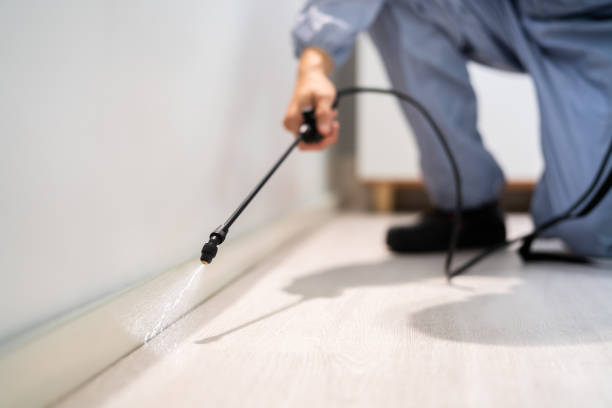 Pest Control for Restaurants in Concord, CA