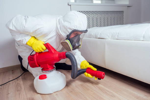 Best Termite Control Services  in Concord, CA