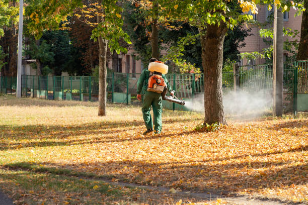 Best Affordable Pest Control Services  in Concord, CA
